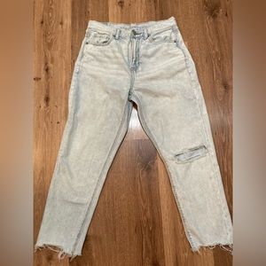 AE Mom Jeans